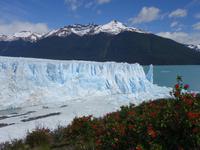 Perito Moreno Gletscher bei El Calafate - Patagonien (31)