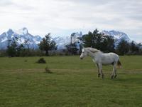 Gut angekommen im Torres del Paine - Patagonien (11)