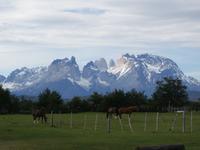 Gut angekommen im Torres del Paine - Patagonien (13)