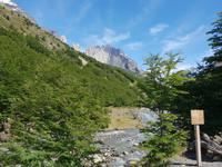 National Park Torres del Paine - Chile - Patagonien (9)