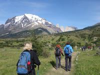 Wanderung Laguna y Base de las Torres in Torres del Paine - Patagonien (13)