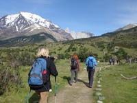 Wanderung Laguna y Base de las Torres in Torres del Paine - Patagonien (14)