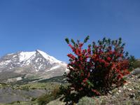 Wanderung Laguna y Base de las Torres in Torres del Paine - Patagonien (18)