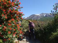 Wanderung Laguna y Base de las Torres in Torres del Paine - Patagonien (21)