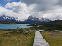 National Park Torres del Paine - Chile - Patagonien - ein Traum (9)