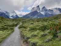 Wanderung zum Aussichtspunkt Los Cuernos in Torres del Paine National Park - Patagonien (6)