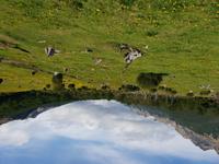 Tren del Fin del Mundo im National Park Feuerland - Ushuaia (5)