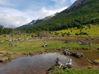 Tren del Fin del Mundo im National Park Feuerland - Ushuaia (6)