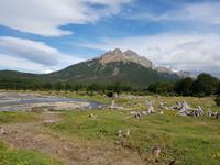 Tren del Fin del Mundo im National Park Feuerland - Ushuaia (7)