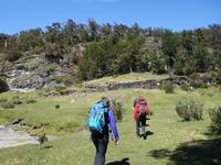 Wanderung im Feuerland National Park bei Ushuaia (19)