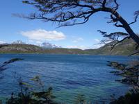 Wanderung im Feuerland National Park bei Ushuaia (23)