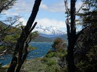 Wanderung im Feuerland National Park bei Ushuaia (24)