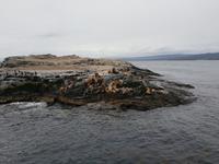 Bootsfahrt und Wanderung am Beagle Kanal - Ushuaia - Feuerland (4)