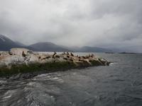 Bootsfahrt und Wanderung am Beagle Kanal - Ushuaia - Feuerland (5)