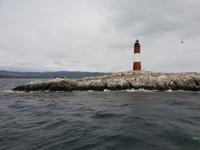 Bootsfahrt und Wanderung am Beagle Kanal - Ushuaia - Feuerland (11)