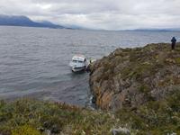 Bootsfahrt und Wanderung am Beagle Kanal - Ushuaia - Feuerland (13)
