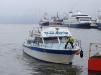 Bootsfahrt und Wanderung am Beagle Kanal - Ushuaia - Feuerland (15)