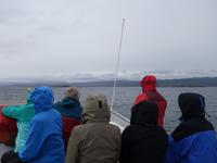 Bootsfahrt und Wanderung am Beagle Kanal - Ushuaia - Feuerland (25)