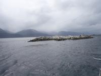 Bootsfahrt und Wanderung am Beagle Kanal - Ushuaia - Feuerland (26)