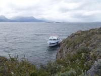 Bootsfahrt und Wanderung am Beagle Kanal - Ushuaia - Feuerland (35)