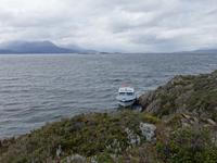 Bootsfahrt und Wanderung am Beagle Kanal - Ushuaia - Feuerland (36)