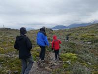 Bootsfahrt und Wanderung am Beagle Kanal - Ushuaia - Feuerland (37)