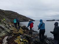 Bootsfahrt und Wanderung am Beagle Kanal - Ushuaia - Feuerland (40)