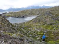 Bootsfahrt und Wanderung am Beagle Kanal - Ushuaia - Feuerland (41)