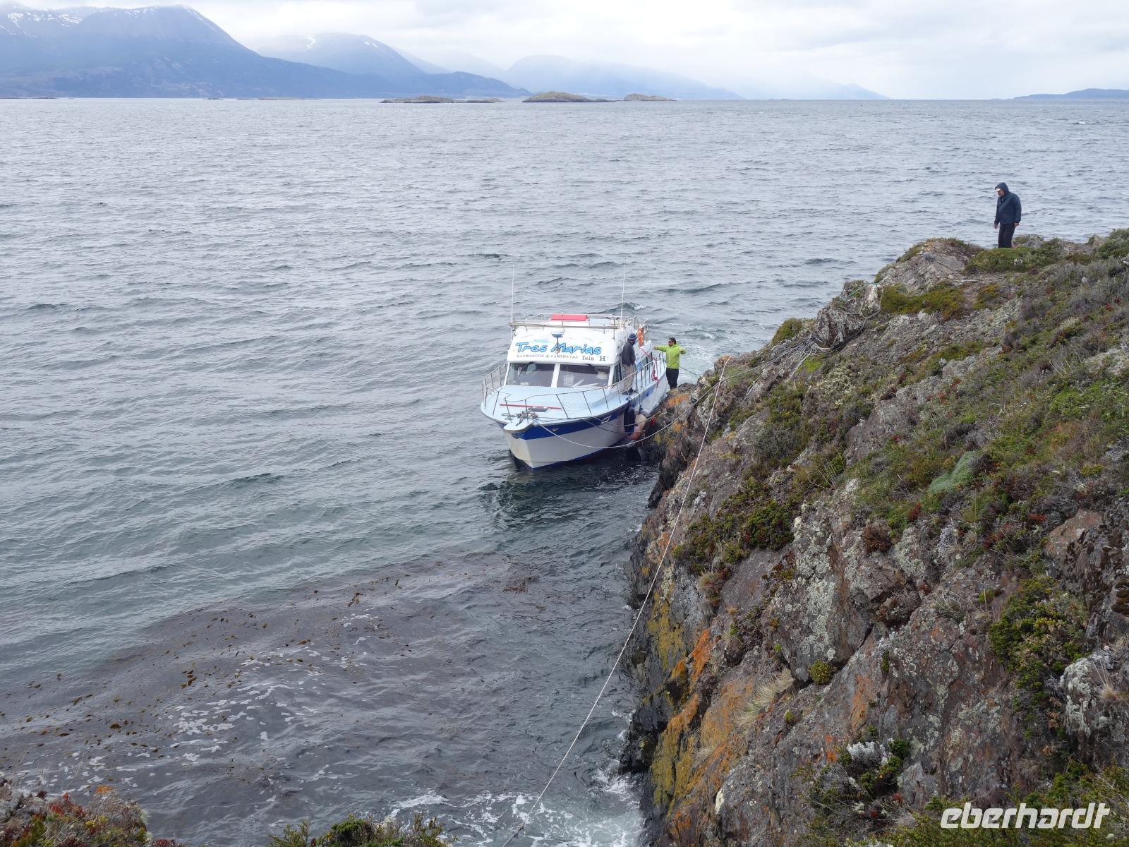 Bootsfahrt und Wanderung am Beagle Kanal - Ushuaia - Feuerland (1)