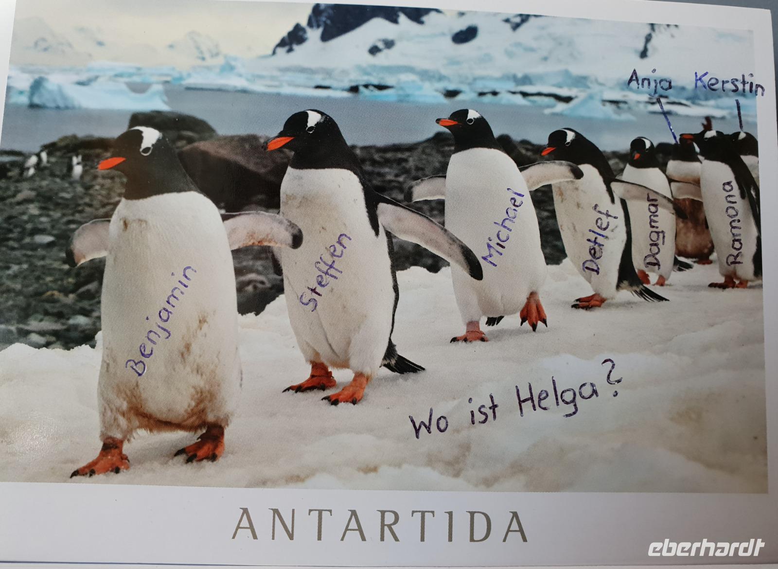 Rückflug nach Deutschland