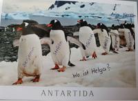 Rückflug nach Deutschland