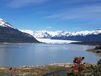 17 Tage Wanderreise Argentinien und Chile – Patagonien und Feuerland mit Buenos Aires – Nationalpark Los Glaciares mit El Chalten und Perito Moreno – Nationalpark Torres del Paine – Feuerland – Ushuaia (317)