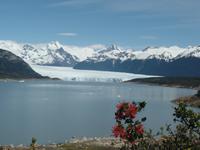 17 Tage Wanderreise Argentinien und Chile – Patagonien und Feuerland mit Buenos Aires – Nationalpark Los Glaciares mit El Chalten und Perito Moreno – Nationalpark Torres del Paine – Feuerland – Ushuaia (379)