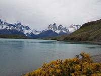17 Tage Wanderreise Argentinien und Chile – Patagonien und Feuerland mit Buenos Aires – Nationalpark Los Glaciares mit El Chalten und Perito Moreno – Nationalpark Torres del Paine – Feuerland – Ushuaia (480)