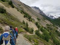 17 Tage Wanderreise Argentinien und Chile – Patagonien und Feuerland mit Buenos Aires – Nationalpark Los Glaciares mit El Chalten und Perito Moreno – Nationalpark Torres del Paine – Feuerland – Ushuaia (581)