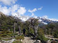 Wanderung zur Laguna de los Tres und Fitz Roy Massiv in El Chalten - Patagonien - Argentinien (32)