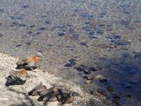 Wanderung zur Laguna de los Tres und Fitz Roy Massiv in El Chalten - Patagonien - Argentinien (57)