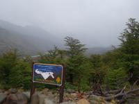 Wanderung zur Laguna Torre und Torre Cerro - Patagonien - Argentienien (3)