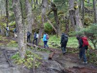 Die Wanderung hoch zum Laguna Huemul und Huemul Gletscher bei El Chalten (7)