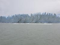 Nationalpark Perito-Moreno-Gletscher bei El Calafate - Patagonien - Argentinien (26)