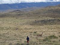 Torres del Paine Nationalpark in Patagonien - Chile (8)