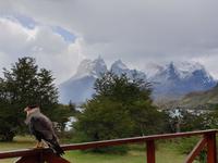 Torres del Paine Nationalpark in Patagonien - Chile (10)