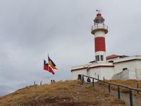 Pinguine beobachten auf der Isla Magdalena bei Punta Arena in Chile (12)