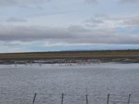 Auf dem Weg nach Punta Arenas in Chile (2)