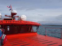 Pinguine beobachten auf der Isla Magdalena bei Punta Arena in Chile (15)