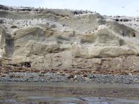 Ausflug auf der Isla Magdalena (1)