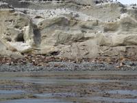 Ausflug auf der Isla Magdalena (2)