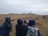 Pinguine beobachten auf der Isla Magdalena bei Punta Arena in Chile (22)