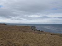 Pinguine beobachten auf der Isla Magdalena bei Punta Arena in Chile (27)