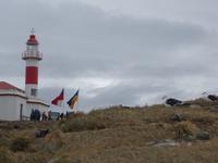 Pinguine beobachten auf der Isla Magdalena bei Punta Arena in Chile (3)